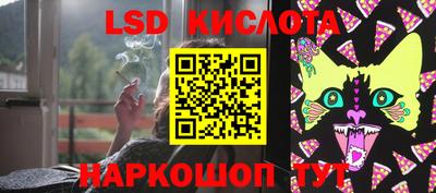 винт Кандалакша
