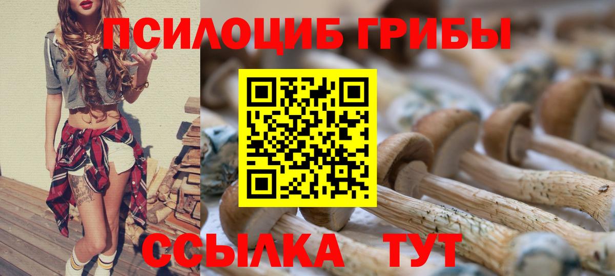 Лениногорск  Галлюциногенные грибы Cubensis  Вход с VPN 